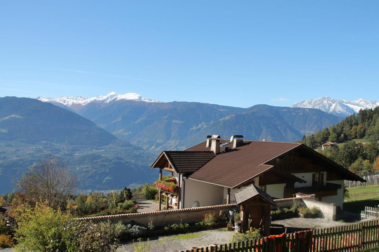 Eichernhof Apartment Marillenbluete Verano Kültér fotó
